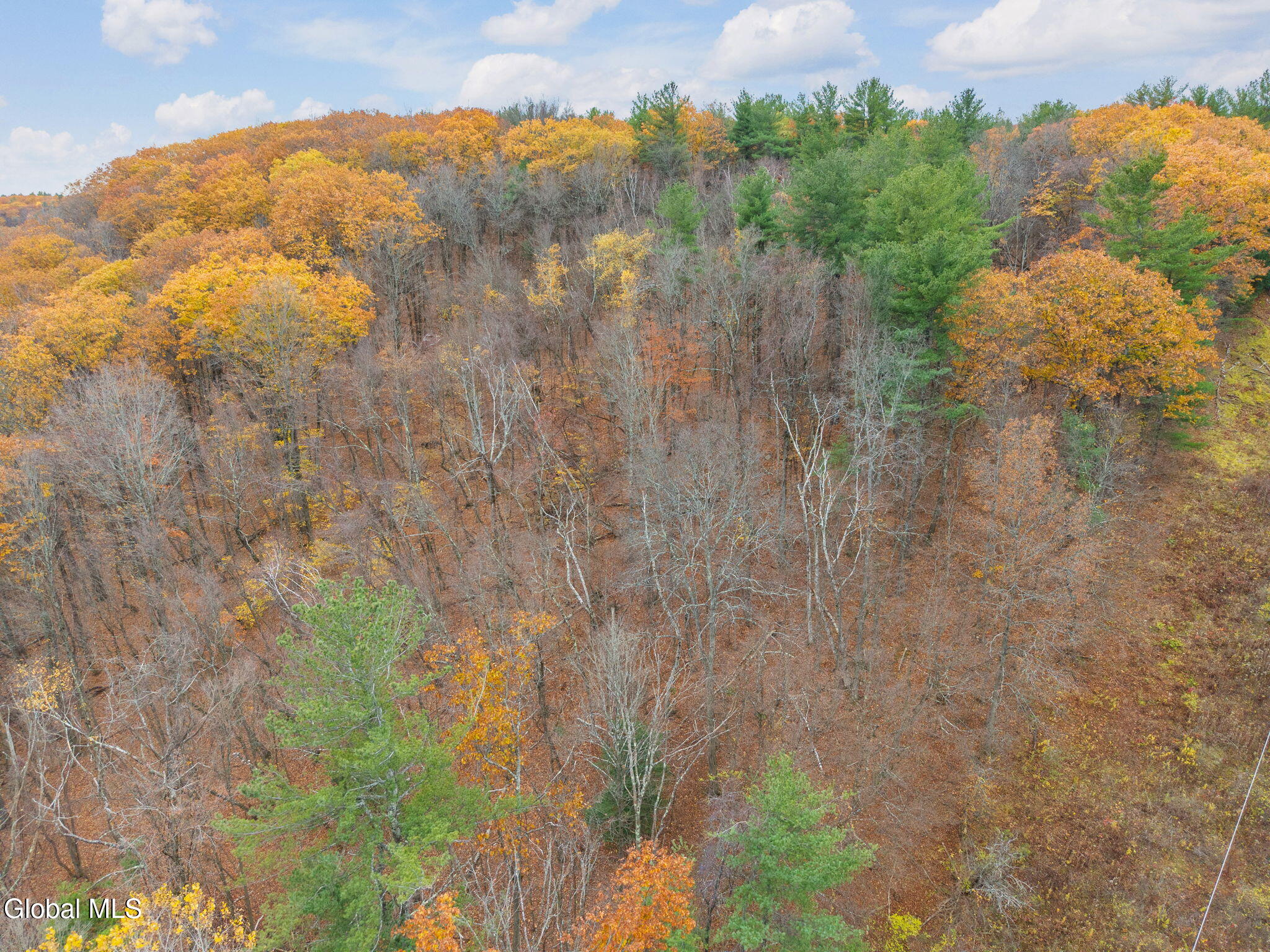 3041 Mariaville Road Rotterdam, NY 12306 - Photo 90 of 92 90-3041MariavilleRd_90