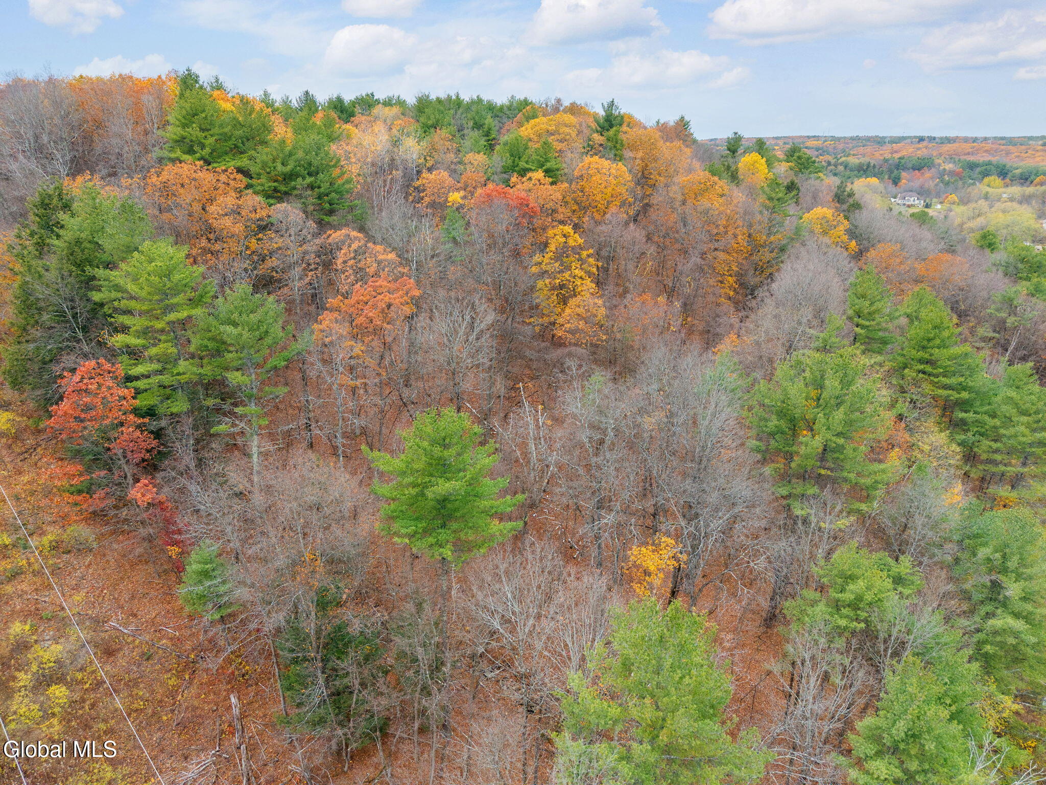 3041 Mariaville Road Rotterdam, NY 12306 - Photo 91 of 92 91-3041MariavilleRd_91