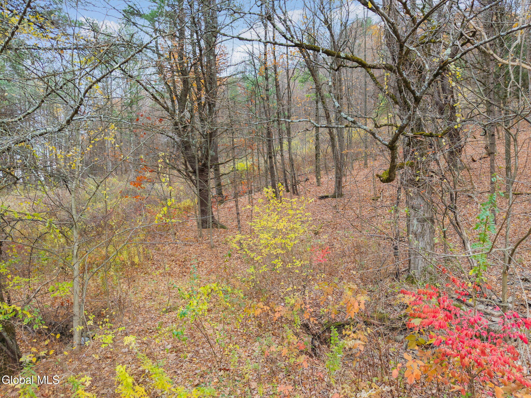 3041 Mariaville Road Rotterdam, NY 12306 - Photo 92 of 92 92-3041MariavilleRd_92