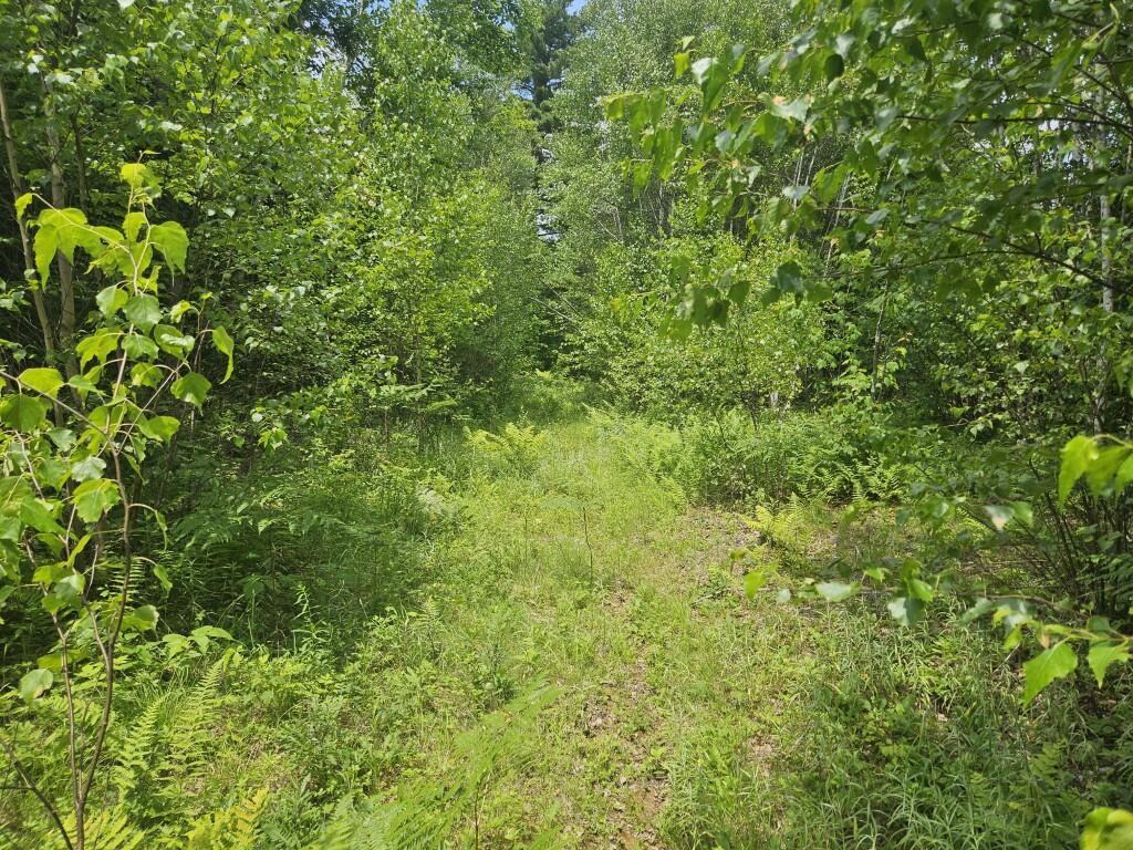 M5-l5 Call Road Milford, ME 04461 - Photo 19 of 51 20250706_124216