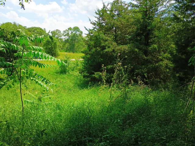 $32,900 | 0 Huggins Road, Michigan Center, MI 49254