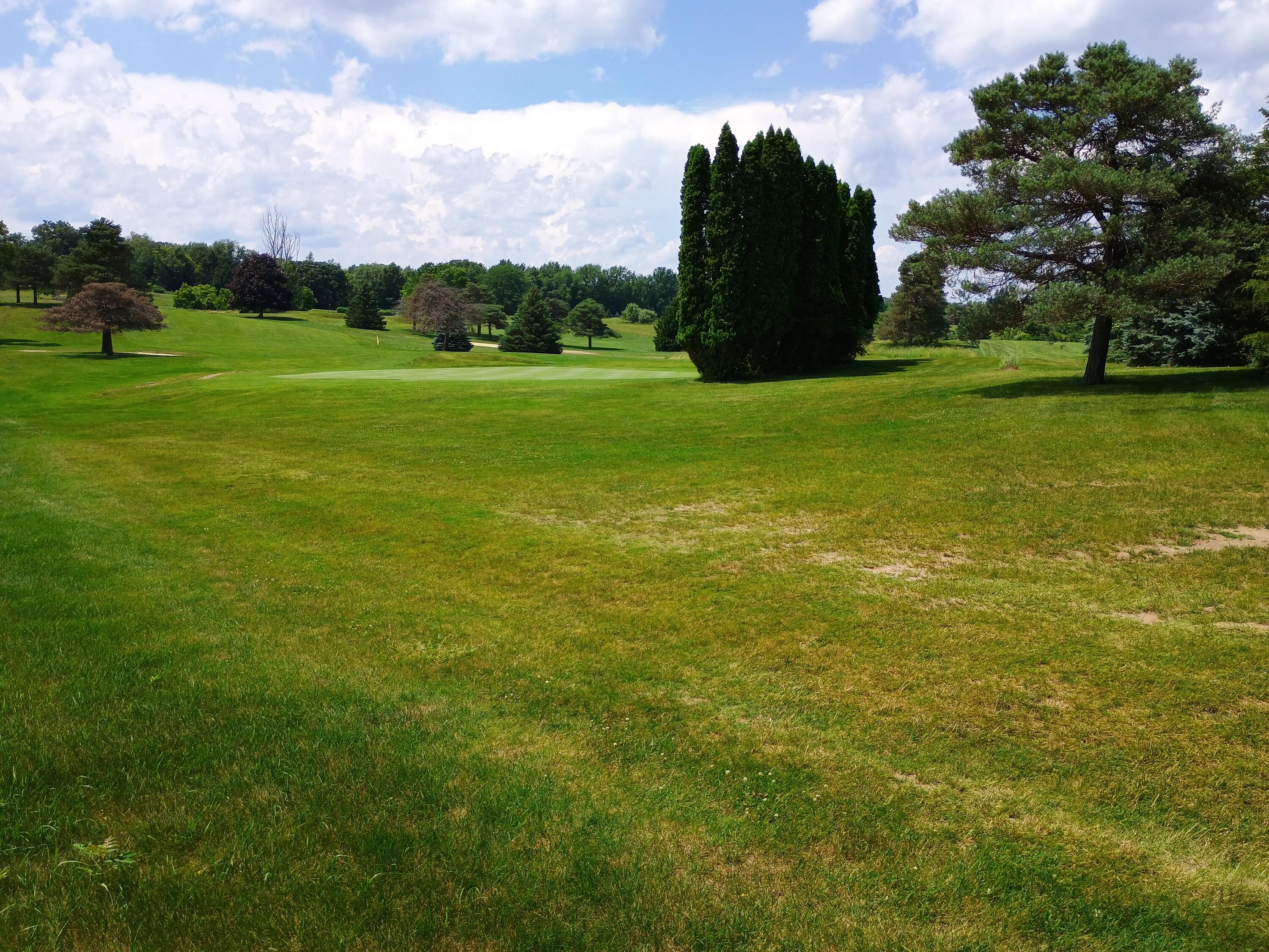 0 Huggins Road Michigan Center, MI 49254 - Photo 7 of 9 1000000189