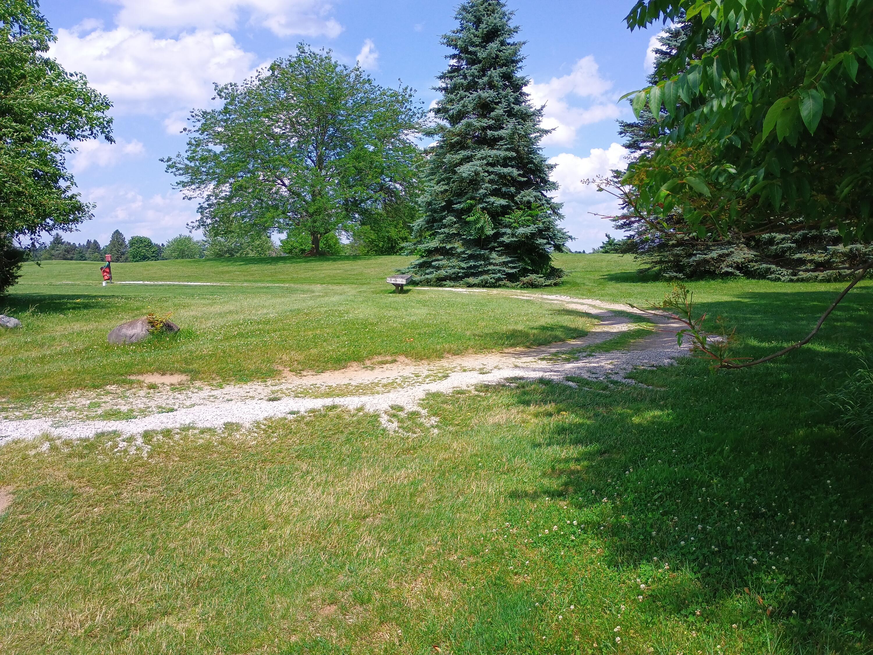 0 Huggins Road Michigan Center, MI 49254 - Photo 9 of 9 1000000191