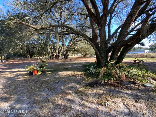 a view of road with large trees