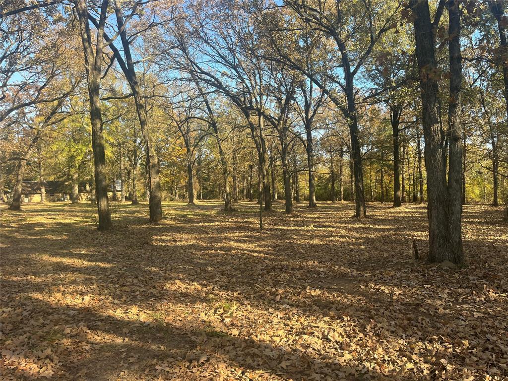 754 Stone Haven Road Idabel, OK 74745 - Photo 5 of 13 a view of yard with trees