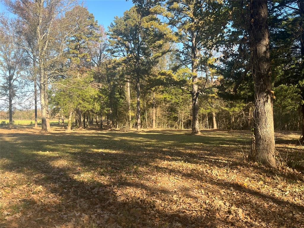754 Stone Haven Road Idabel, OK 74745 - Photo 6 of 13 a view of a yard with large trees