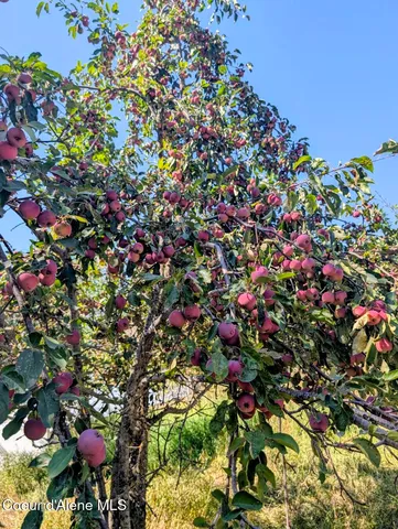 $649,000 | 2405 Deer Park Road, Bonners Ferry, ID 83805