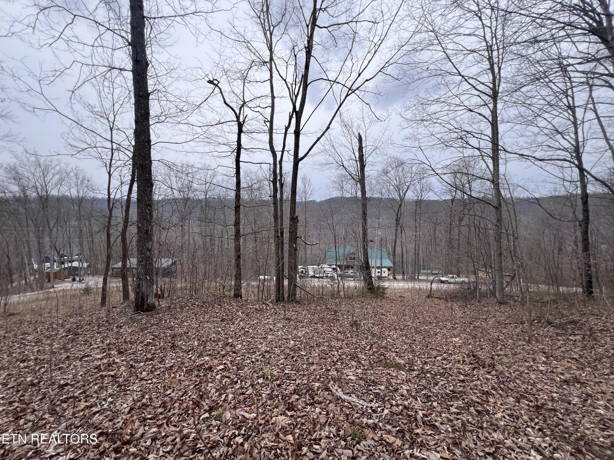 0 Lot 62 Apache Road Jamestown, TN 38556 - Photo 11 of 19 a backyard of a house with lots of green space