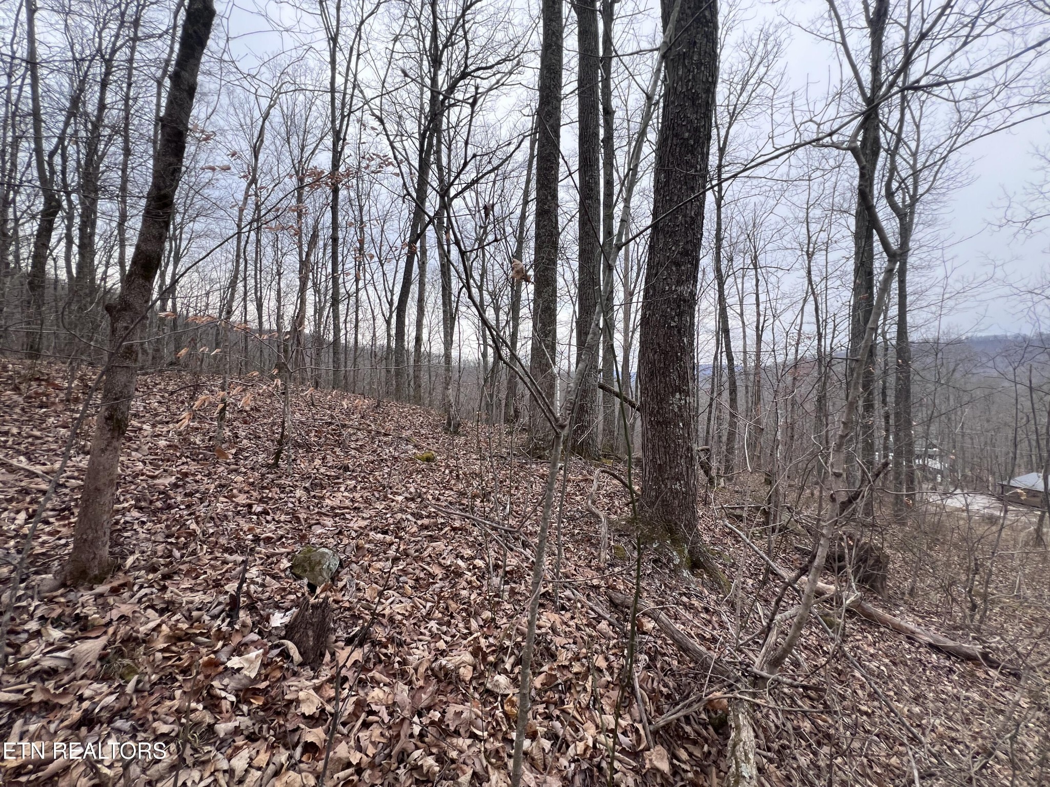 0 Lot 62 Apache Road Jamestown, TN 38556 - Photo 13 of 19 a view of a backyard of the house
