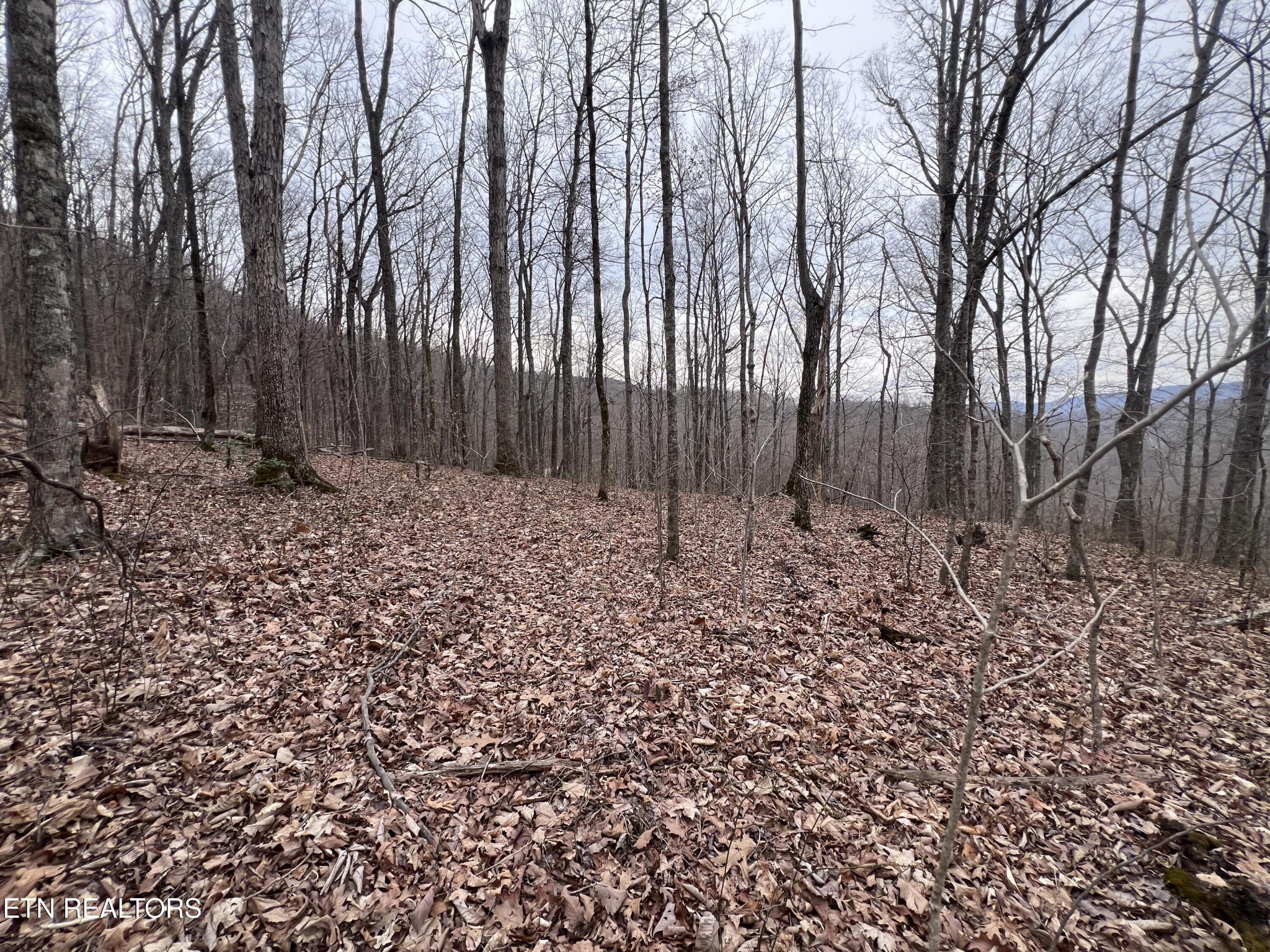 0 Lot 62 Apache Road Jamestown, TN 38556 - Photo 17 of 19 a view of a backyard