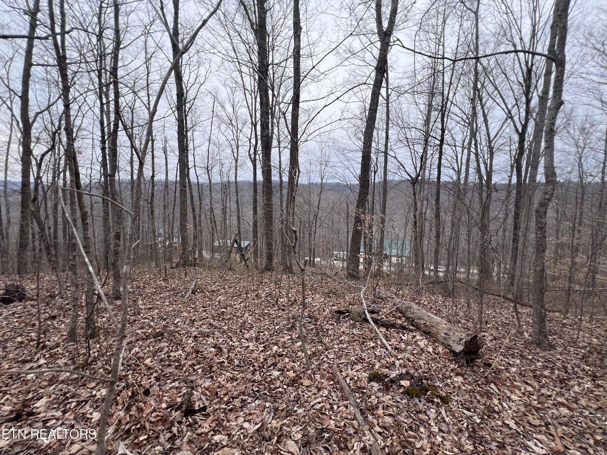 0 Lot 62 Apache Road Jamestown, TN 38556 - Photo 18 of 19