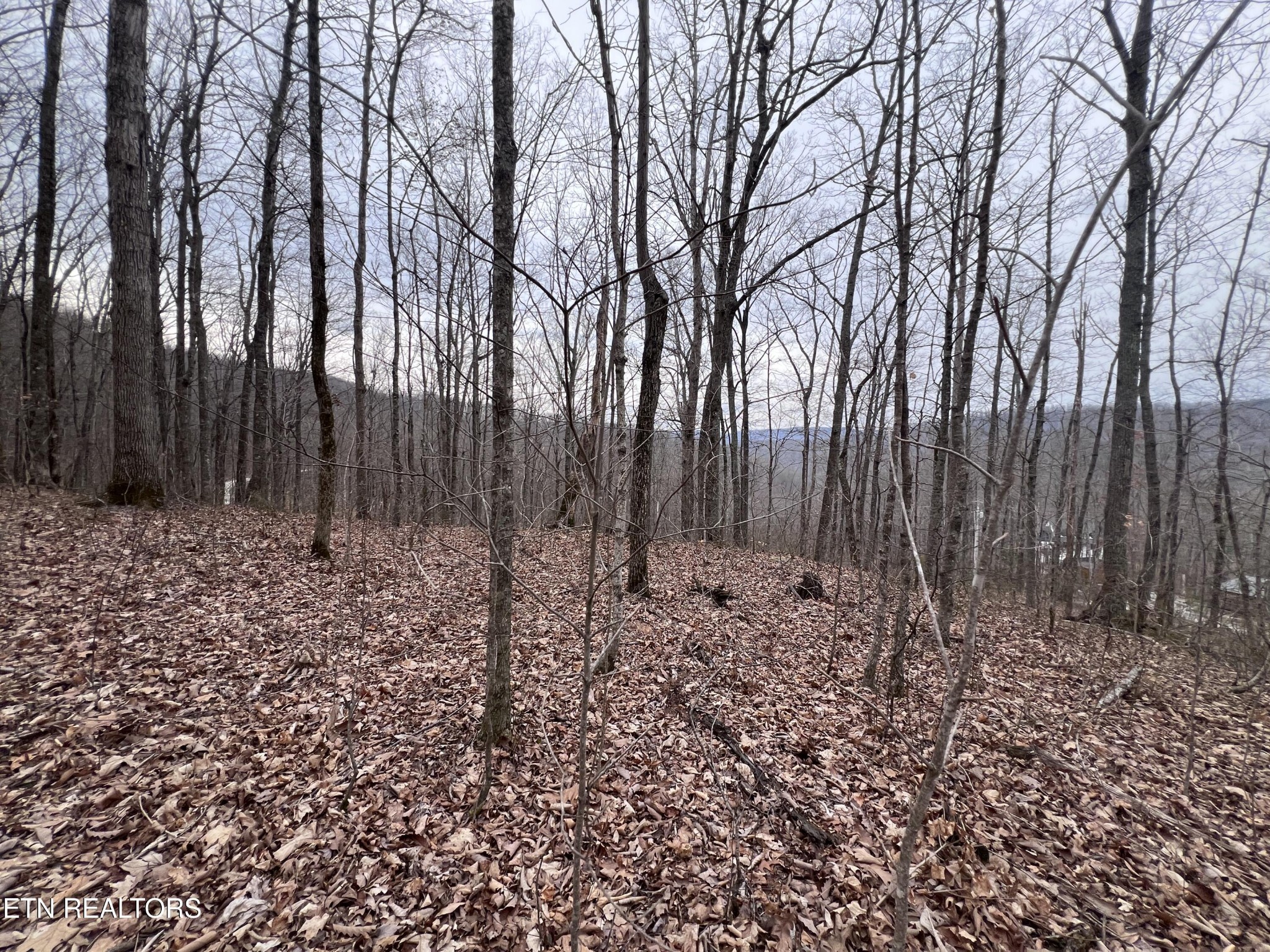 0 Lot 62 Apache Road Jamestown, TN 38556 - Photo 19 of 19 a view of a backyard