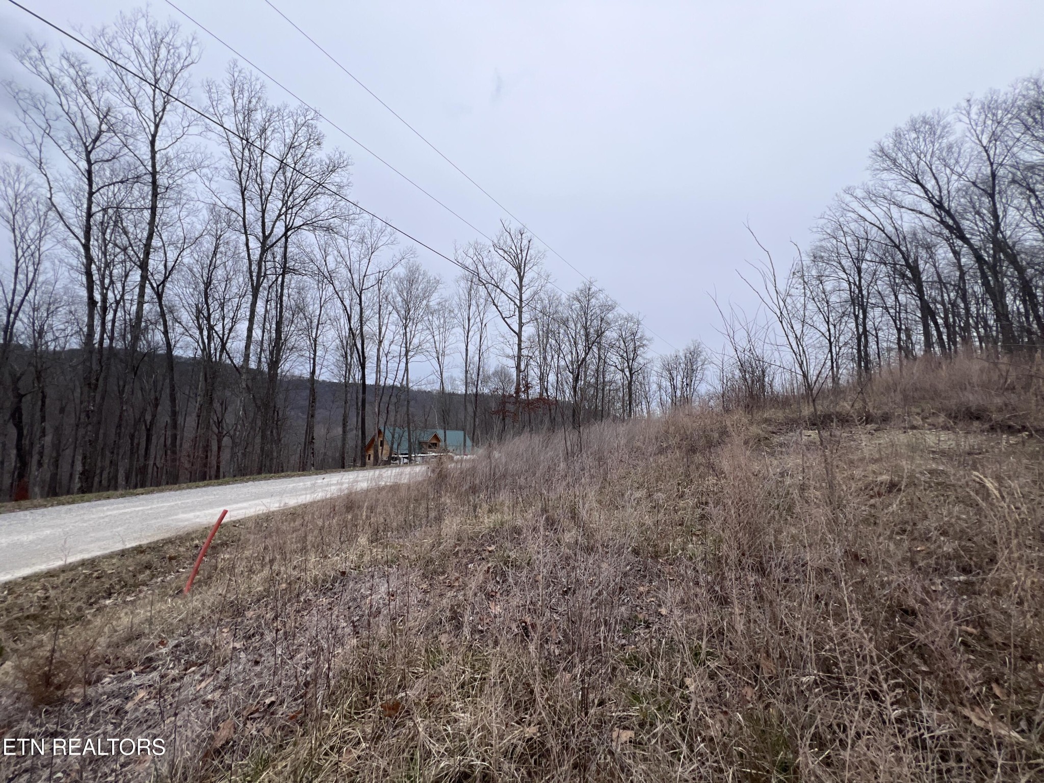 0 Lot 62 Apache Road Jamestown, TN 38556 - Photo 3 of 19 a backyard of a house