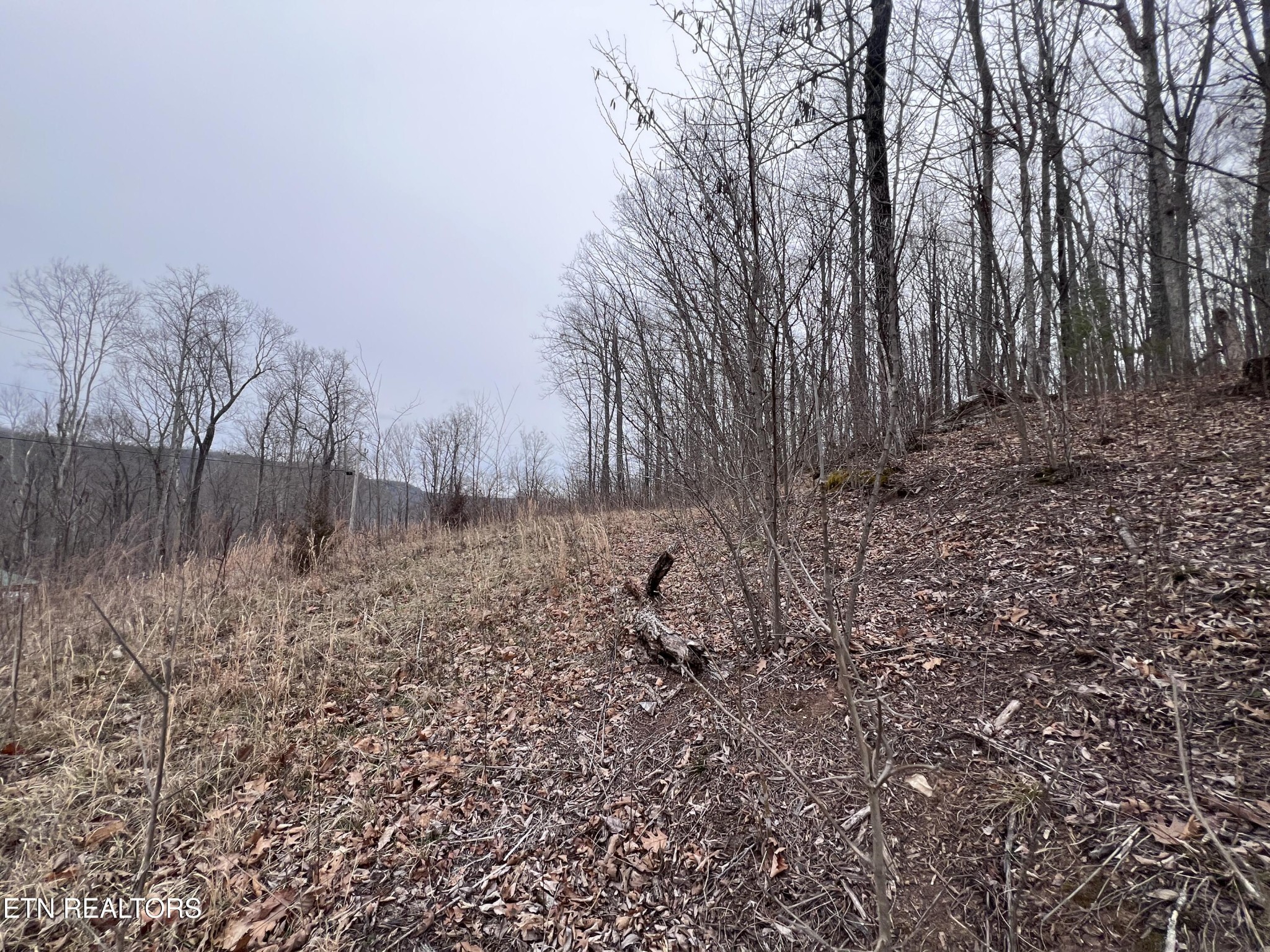 0 Lot 62 Apache Road Jamestown, TN 38556 - Photo 4 of 19 a view of a yard