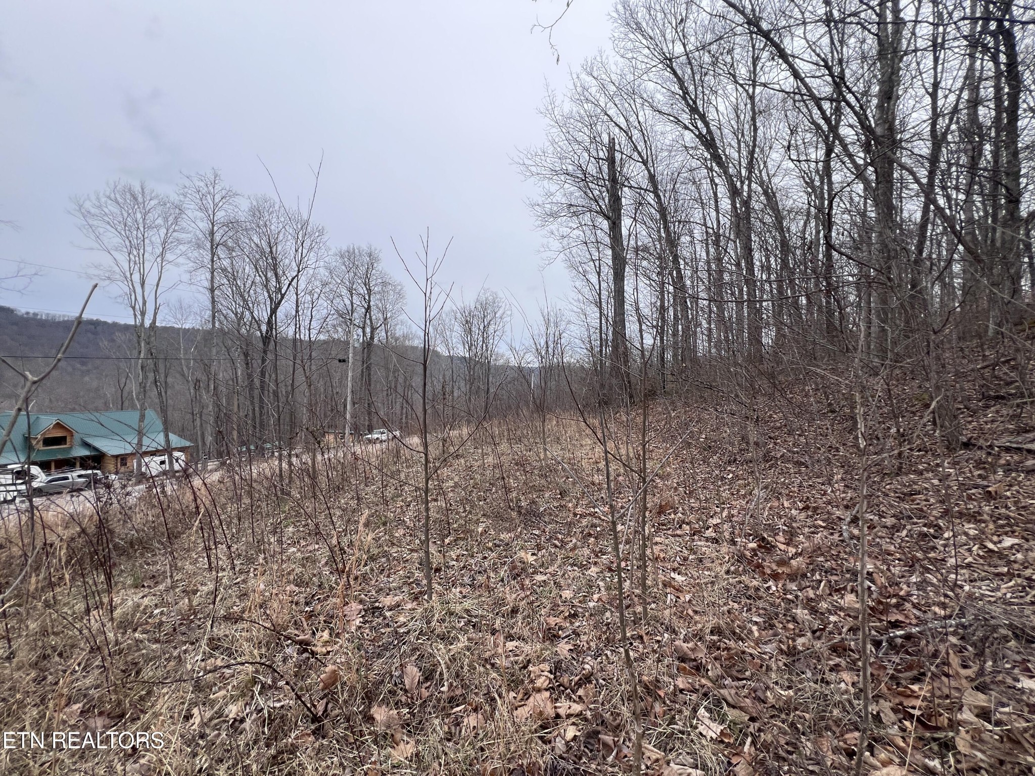 0 Lot 62 Apache Road Jamestown, TN 38556 - Photo 6 of 19 a view of a backyard