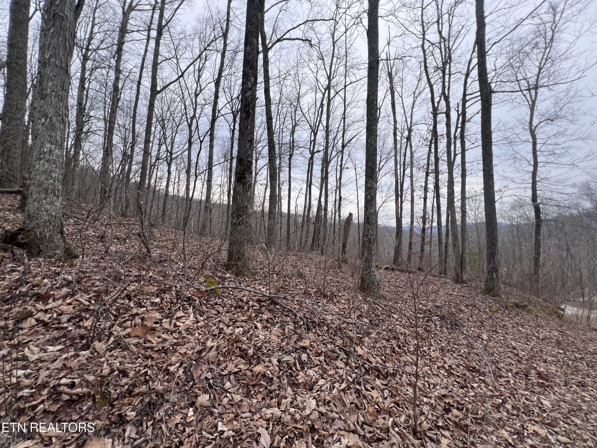 0 Lot 62 Apache Road Jamestown, TN 38556 - Photo 10 of 19 a view of a backyard
