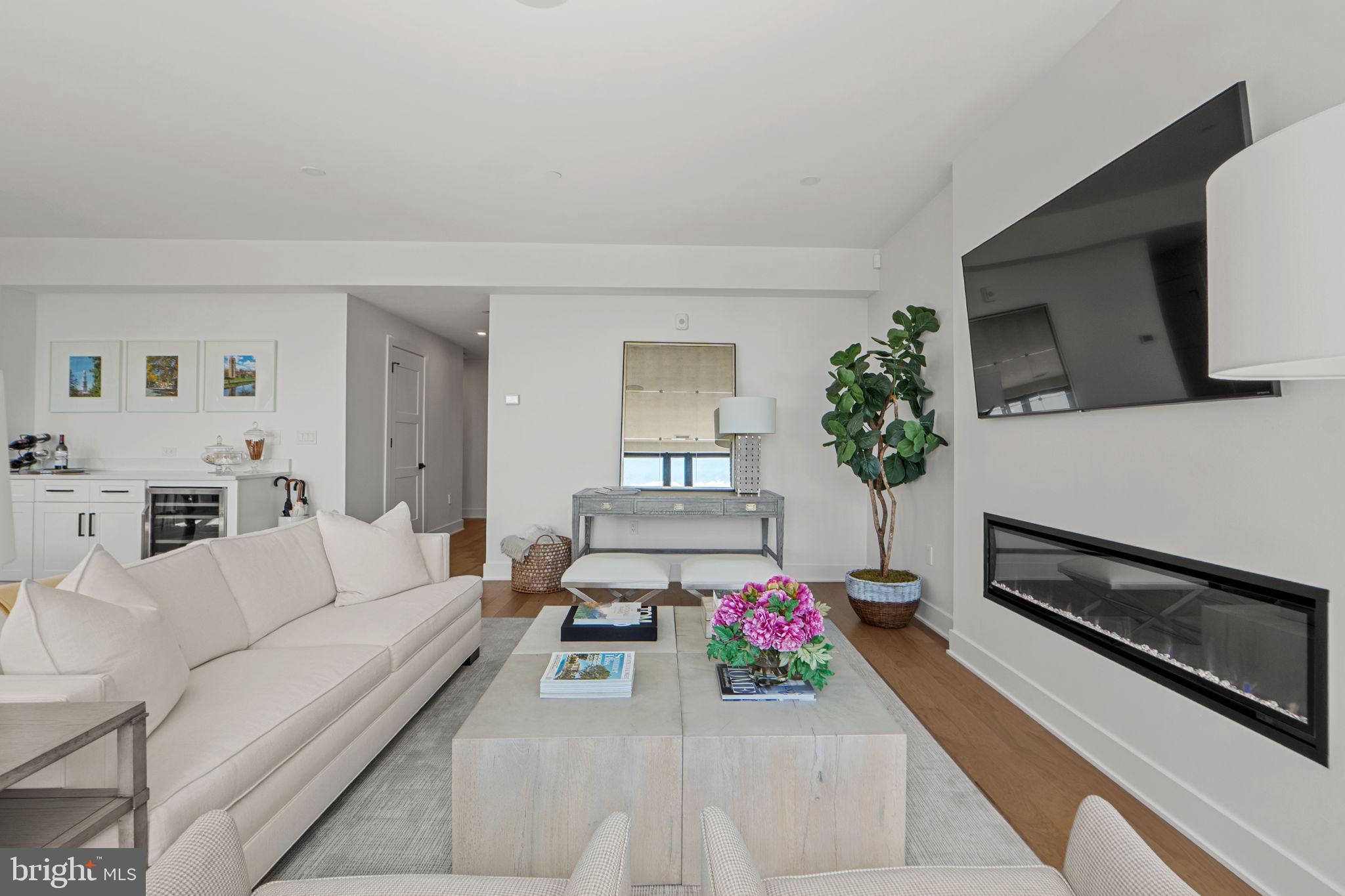 210 East 2nd Street, Unit 402 Frederick, MD 21701 - Photo 11 of 71 a living room with furniture and a potted plant