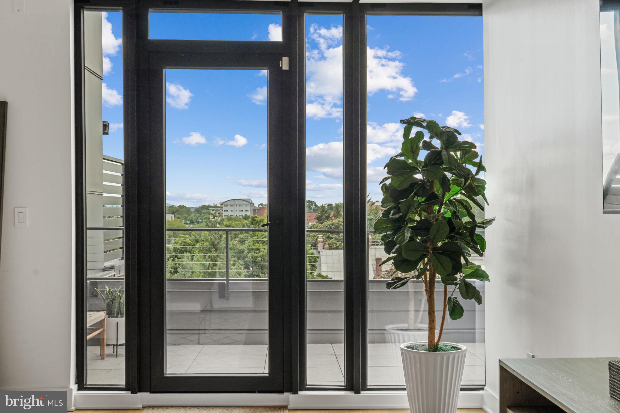 210 East 2nd Street, Unit 402 Frederick, MD 21701 - Photo 46 of 71 a potted plant in front of a glass door