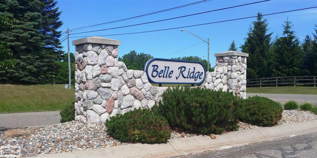 Vac Belle Ridge Drive Dryden, MI 48428 - Photo 1 of 4