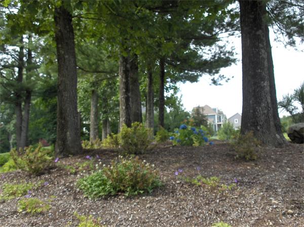 39 Autumn Ridge Road Berlin, MA 01503 - Photo 29 of 30 Gallery Image 29