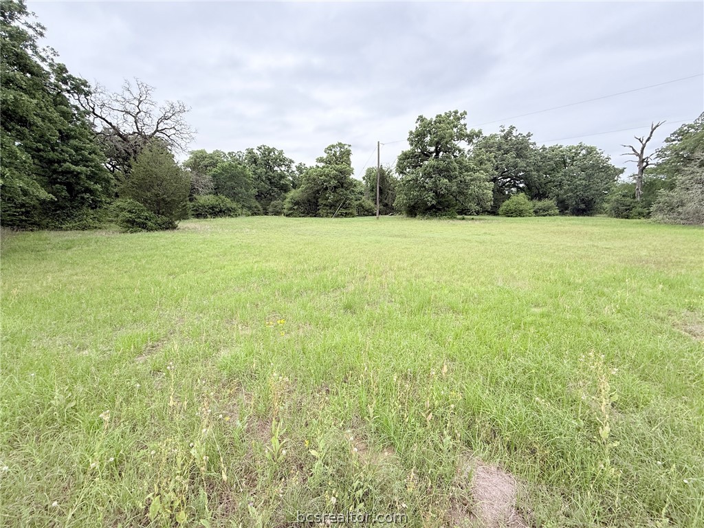 Tbd Wannabe Road Bryan, TX 77808 - Photo 21 of 25 a view of a field of grass and trees