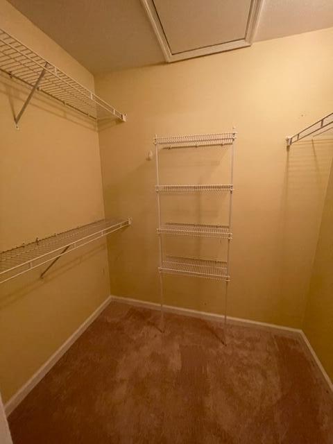 226 High Point Way Evans, GA 30809 - Photo 12 of 15 IMG_1926