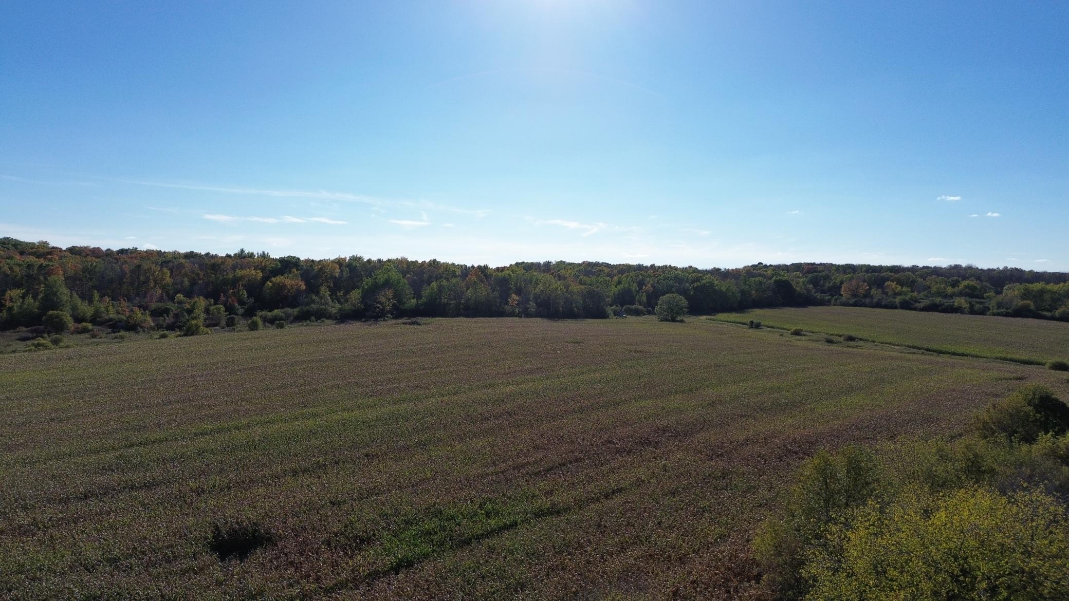 Xxxx County Road North Woodville, WI 54028 - Photo 1 of 1 Gallery Image 1