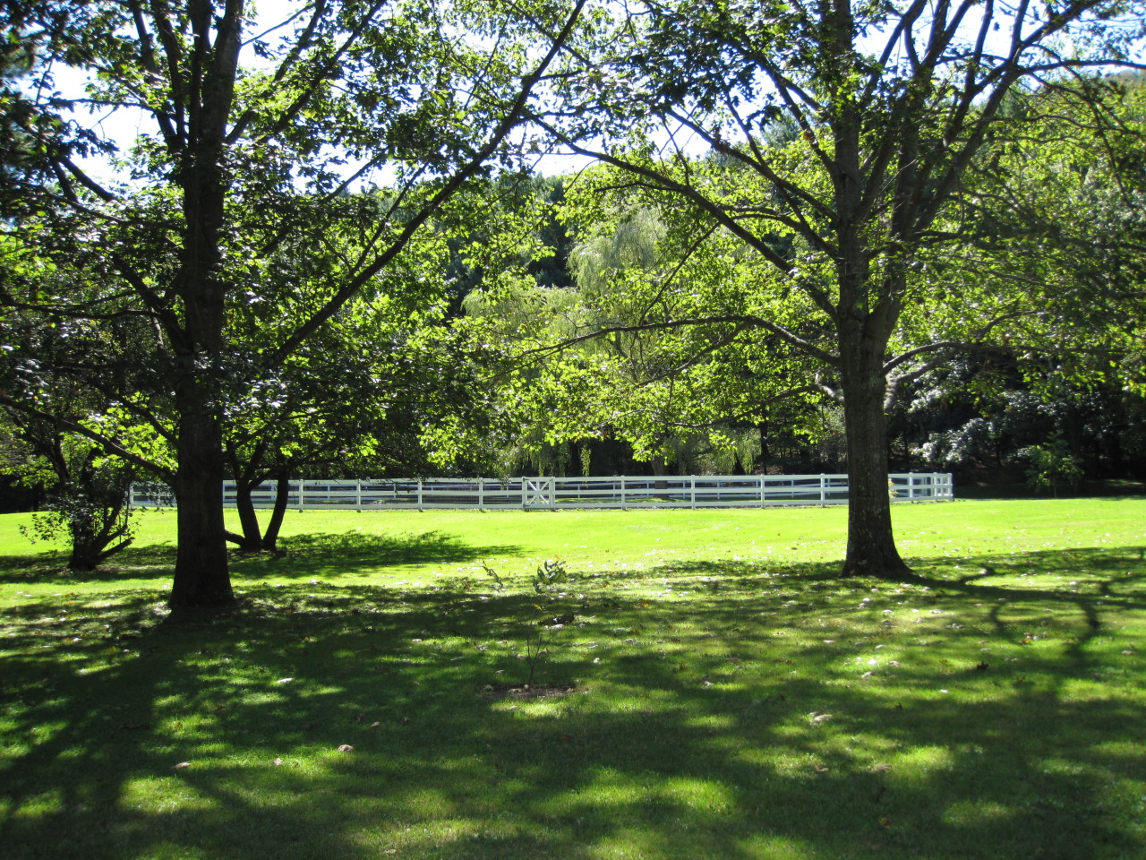 295 W Road Alford, MA 01266 - Photo 29 of 37 Swimming Pond-Grounds