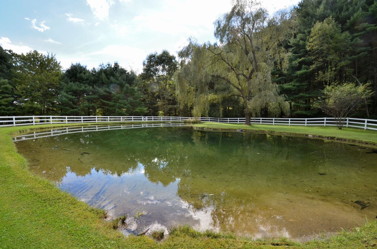 295 W Road Alford, MA 01266 - Photo 4 of 37 Swimming Pond