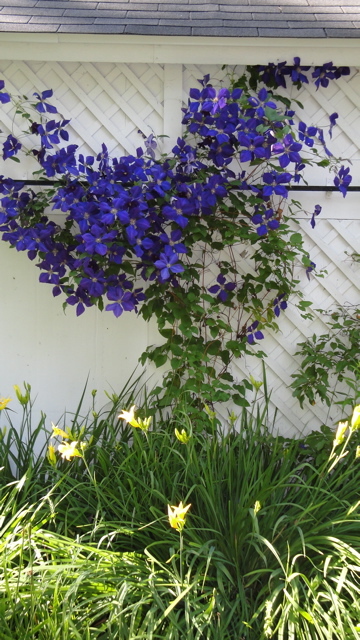 295 W Road Alford, MA 01266 - Photo 36 of 37 Flower Garden
