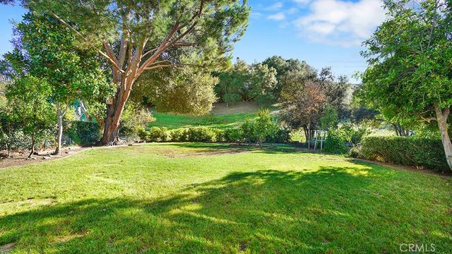 a view of a trees with a yard