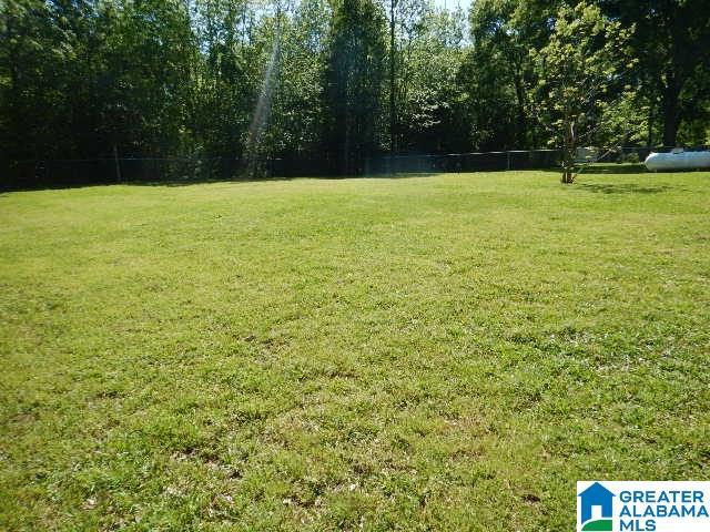 432 Lamon Chapel Loop Jasper, AL 35503 - Photo 21 of 33