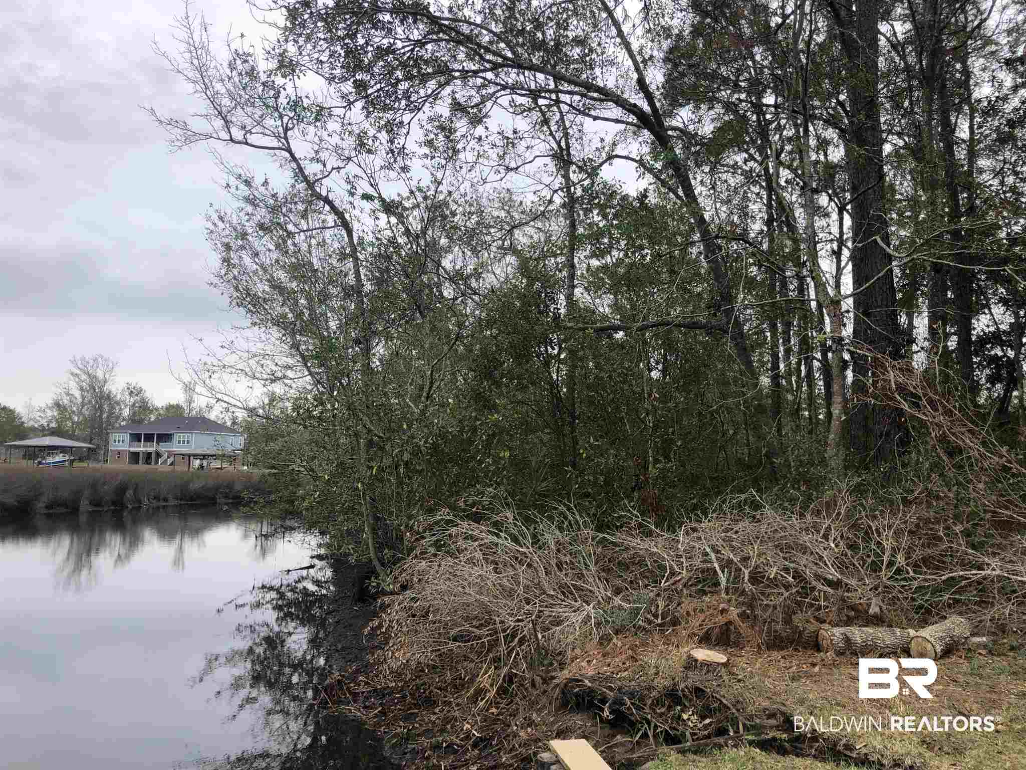 Lot 17 Todd Acres Drive Mobile, AL 36619 - Photo 3 of 5