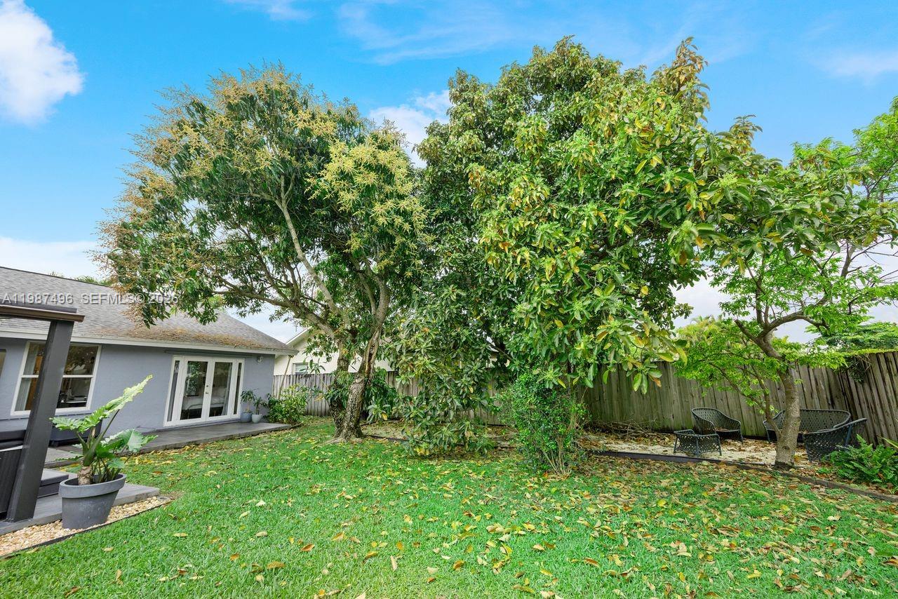 12825 Southwest 116th Street Miami, FL 33186 - Photo 54 of 64 Avocado and Mango Trees