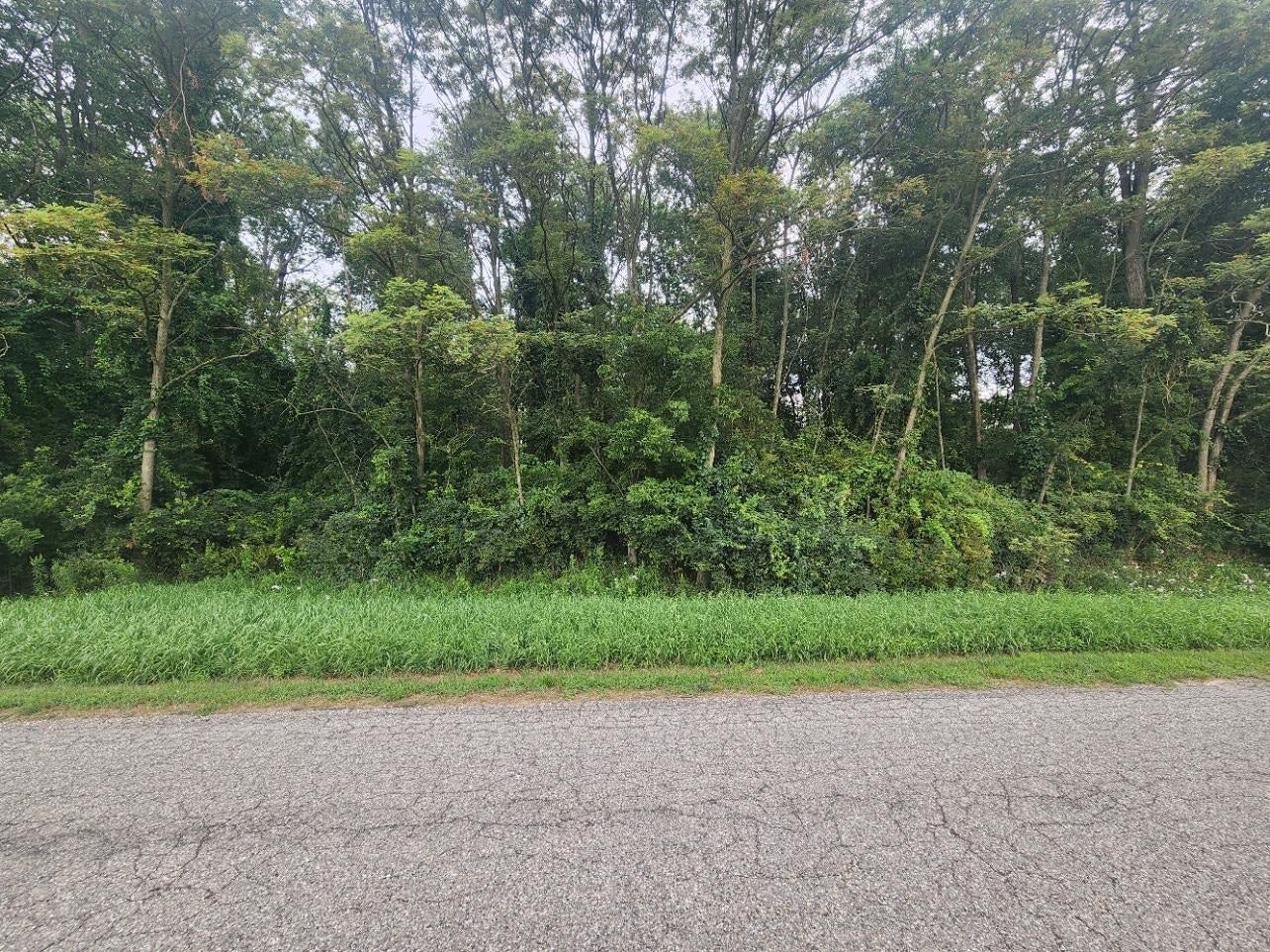 Kerry Road Manistee, MI 49660 - Photo 1 of 5 Gallery Image 1