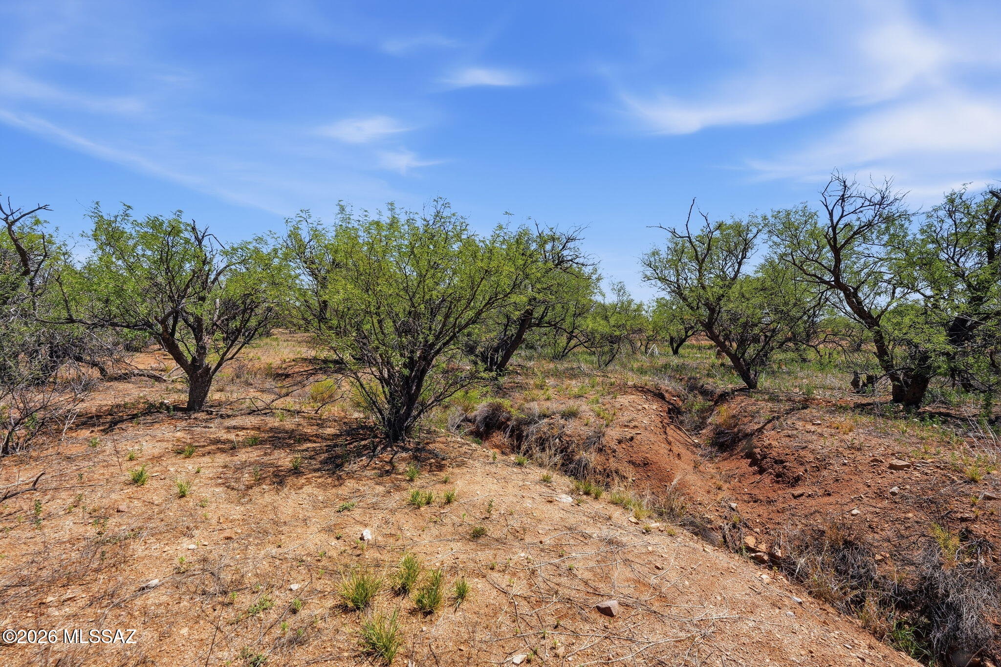 16315 West Ili Teka Road Arivaca, AZ 85601 - Photo 5 of 44 Lots of views
