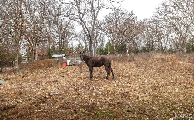 $120,000 | 1320 Chestnut Avenue, Cabool, MO 65689