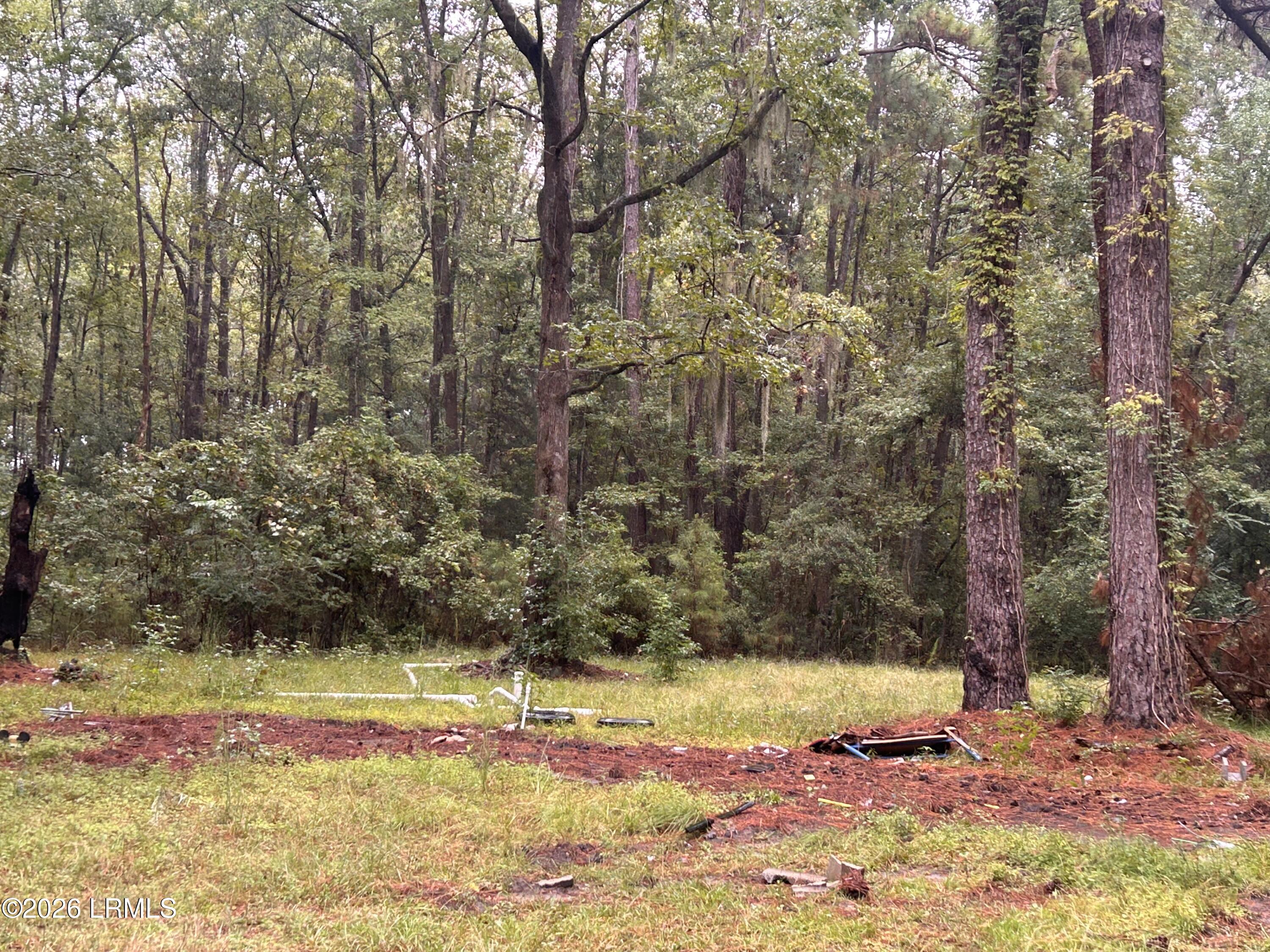 29 State Rd S-7-769 Seabrook, SC 29940 - Photo 2 of 6 IMG_1424