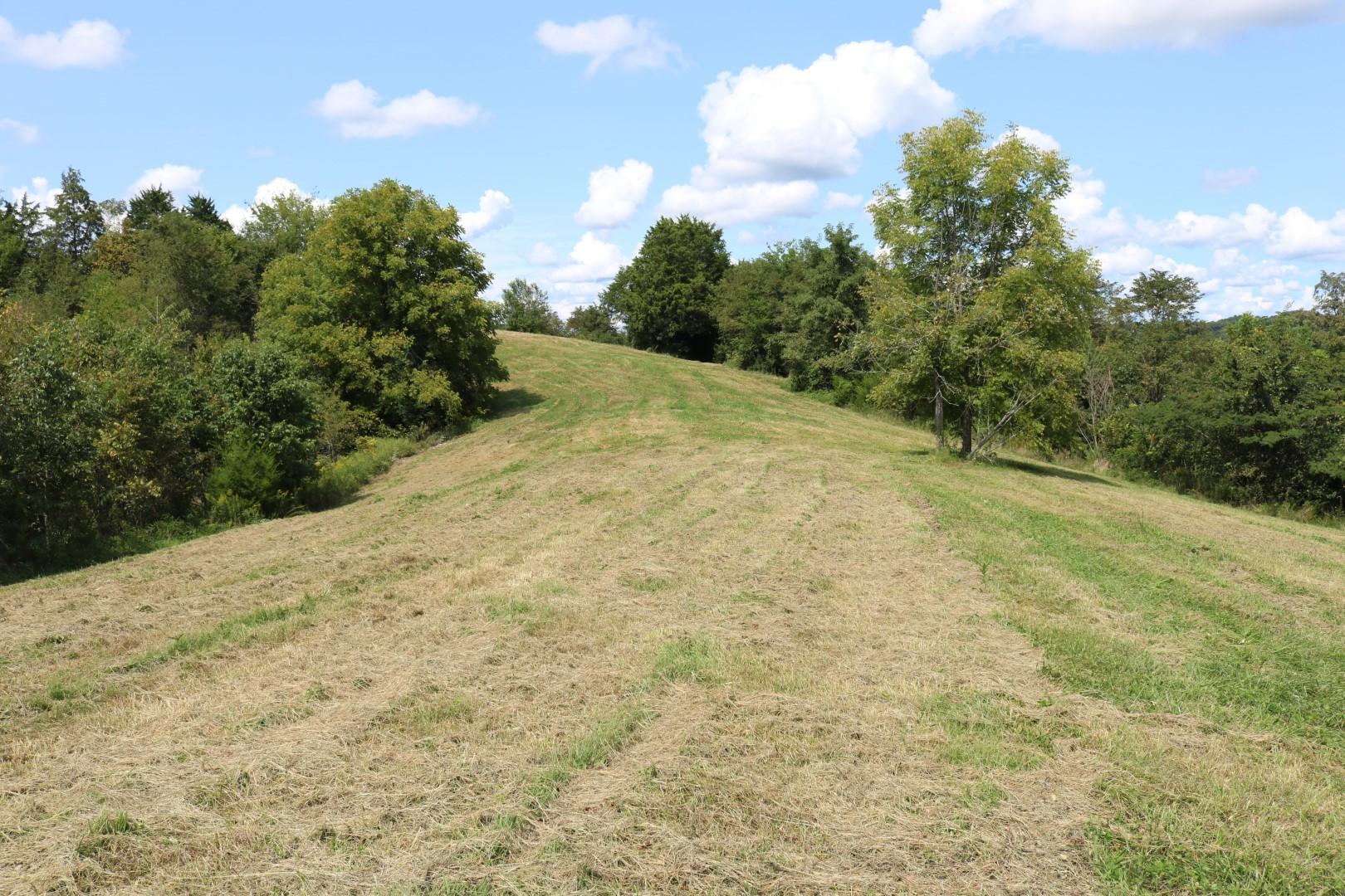 1970 Little Chuckey Road Midway, TN 37809 - Photo 11 of 22 IMG_2848