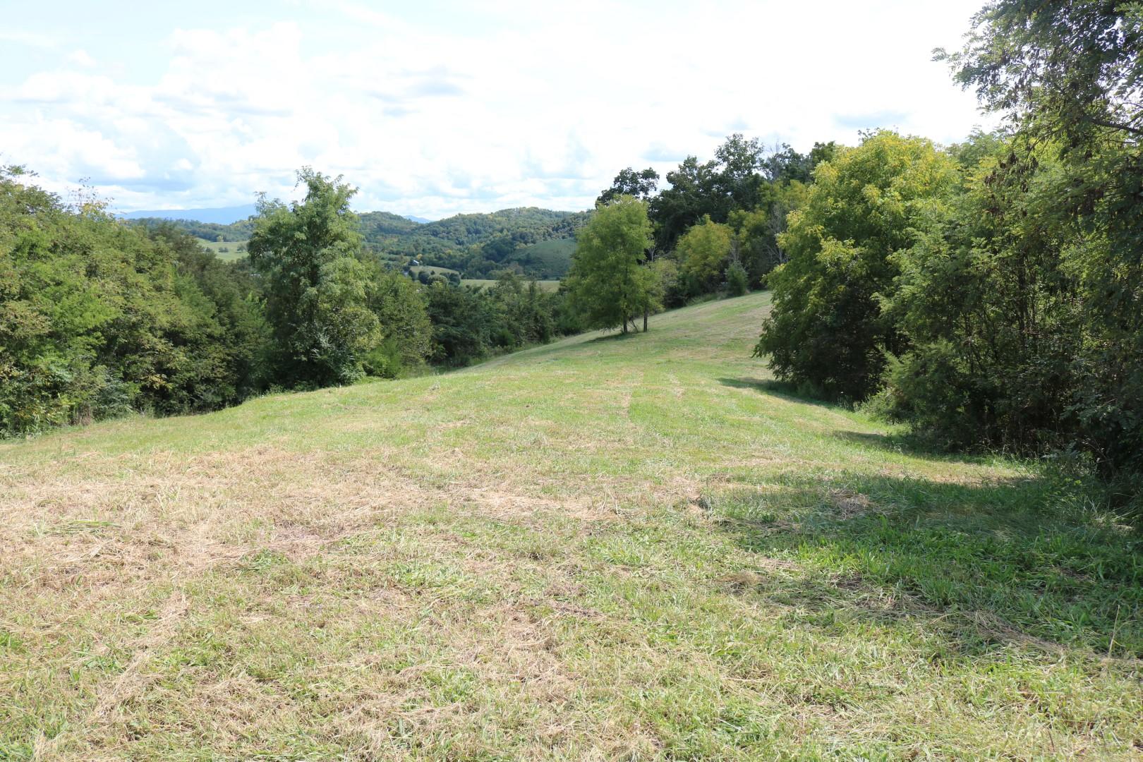 1970 Little Chuckey Road Midway, TN 37809 - Photo 4 of 22 IMG_2837