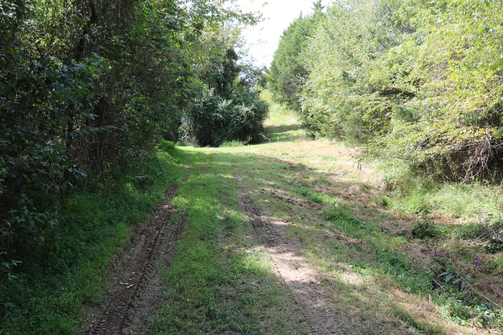 1970 Little Chuckey Road Midway, TN 37809 - Photo 5 of 22 IMG_2823