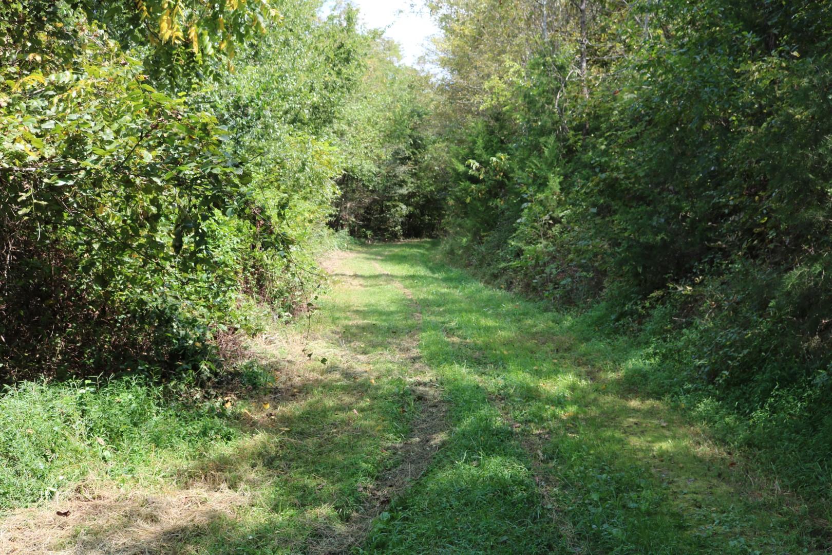 1970 Little Chuckey Road Midway, TN 37809 - Photo 6 of 22 IMG_2829