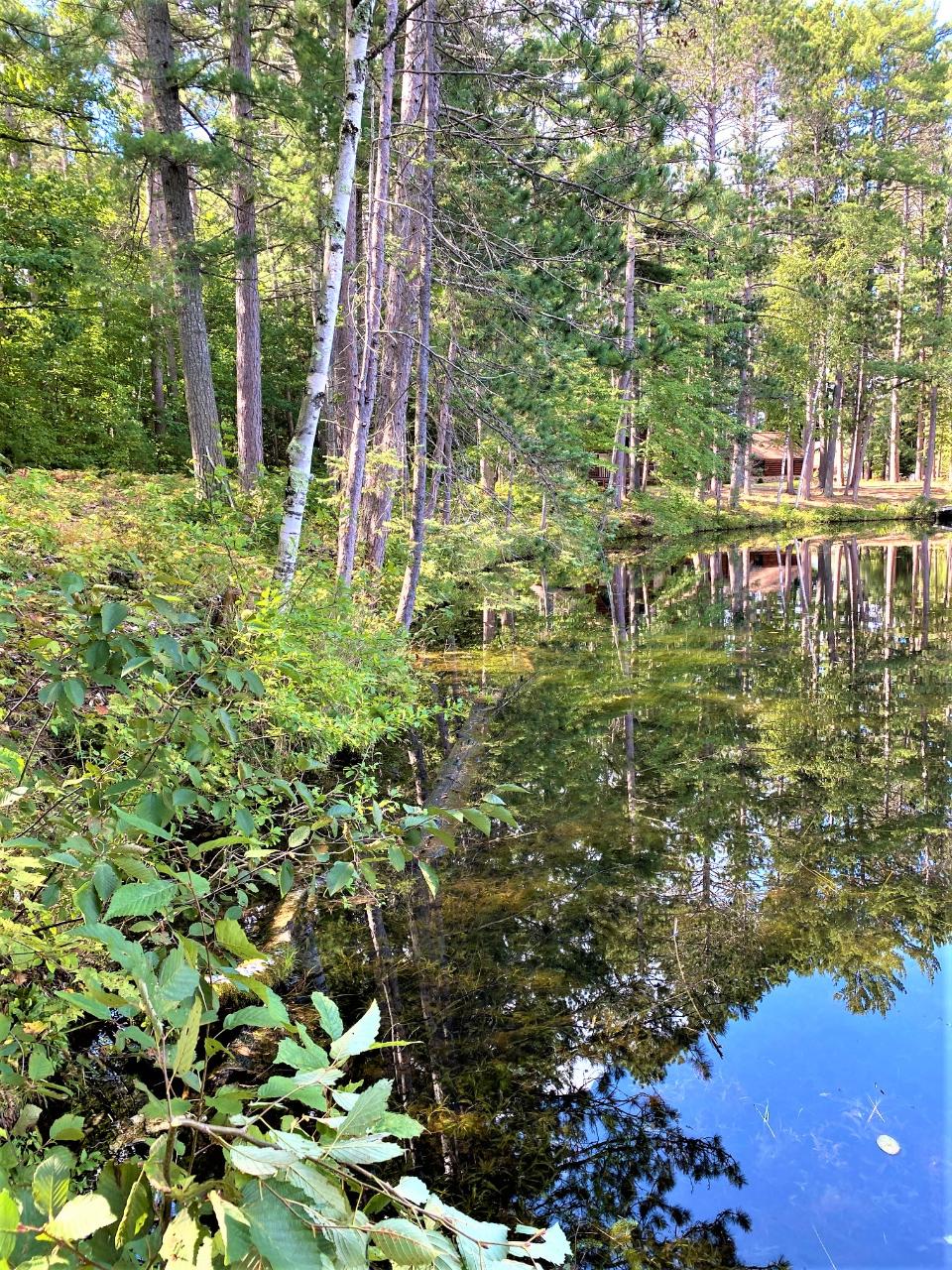 Lot 2 Deer Park Road Manitowish Waters, WI 54545 - Photo 4 of 8 Gallery Image 4