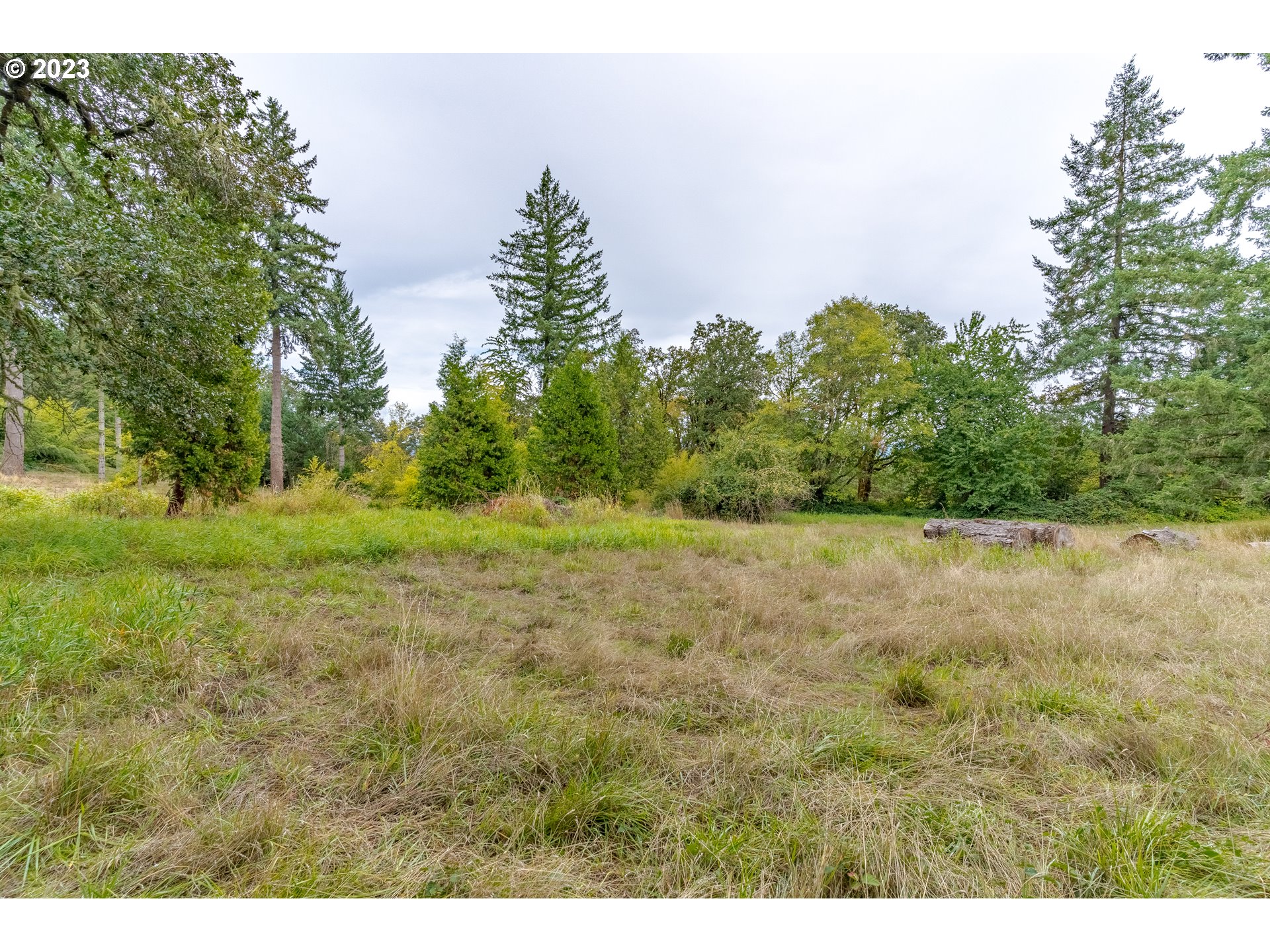 27471 Fern Ridge Road Sweet Home, OR 97386 - Photo 5 of 14 a view of a field with trees in the background