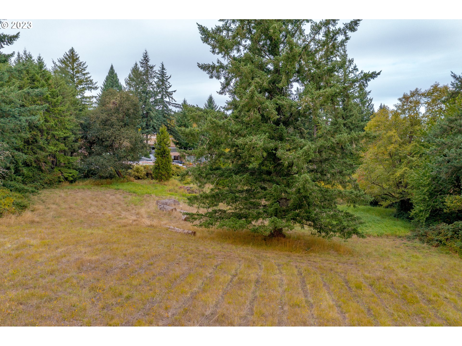 27471 Fern Ridge Road Sweet Home, OR 97386 - Photo 7 of 14 a view of outdoor space and yard