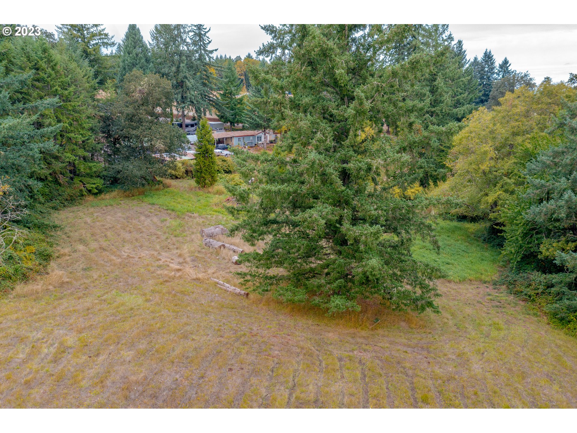 27471 Fern Ridge Road Sweet Home, OR 97386 - Photo 8 of 14 a view of a yard with a tree