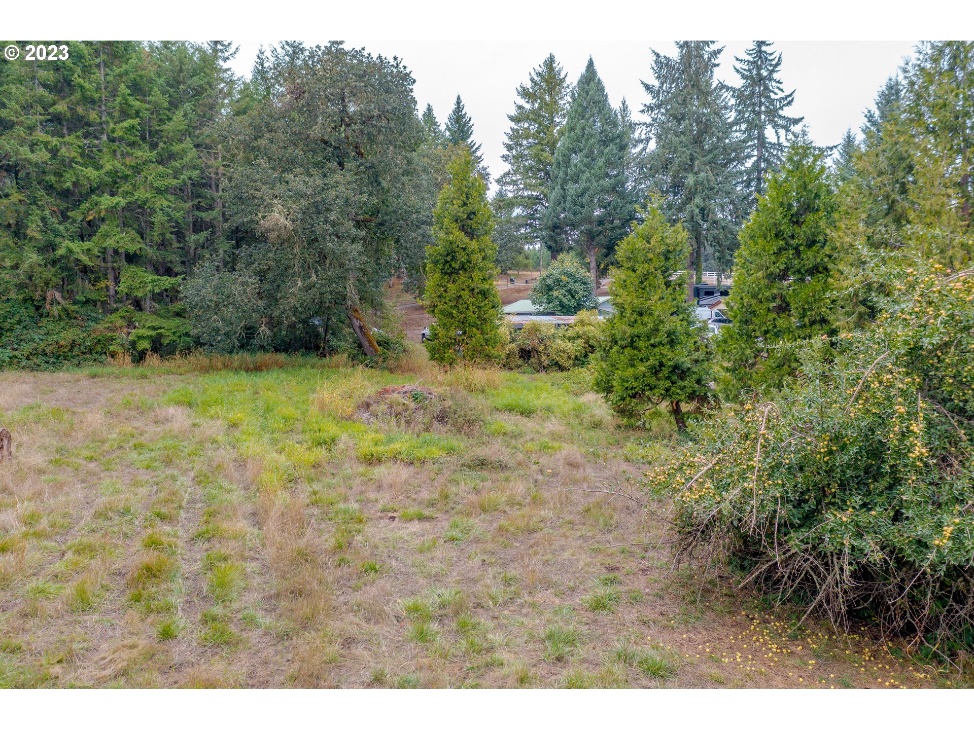 27471 Fern Ridge Road Sweet Home, OR 97386 - Photo 9 of 14 a view of a yard with a tree