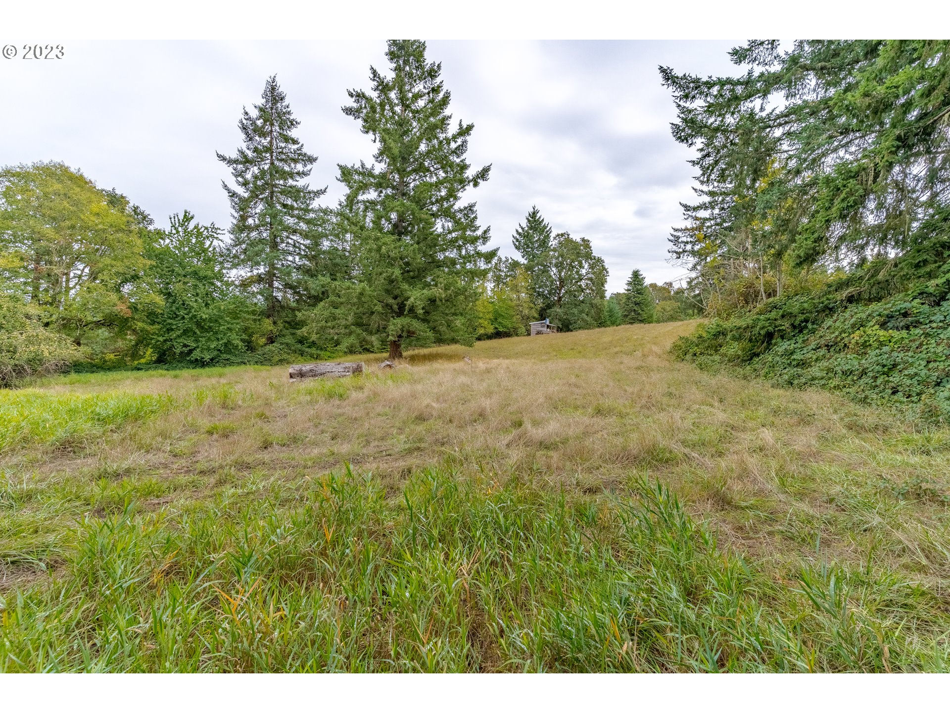 27471 Fern Ridge Road Sweet Home, OR 97386 - Photo 10 of 14 a view of an outdoor space and a yard