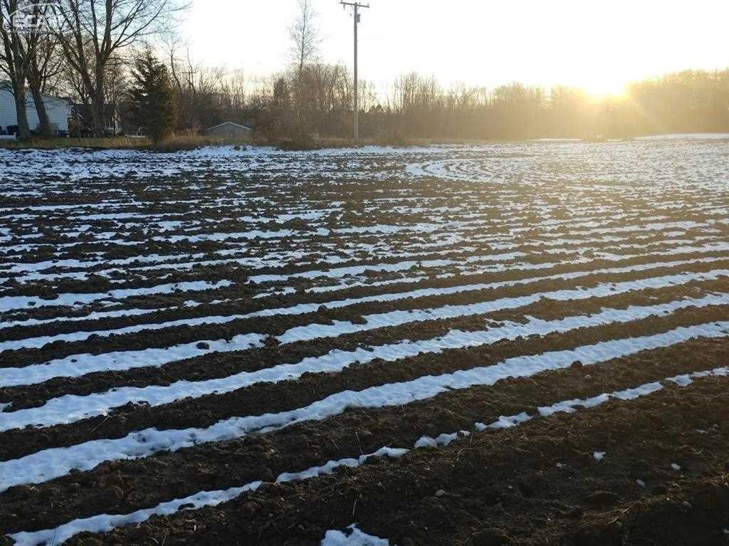 Odell Road Linden, MI 48451 - Photo 3 of 6