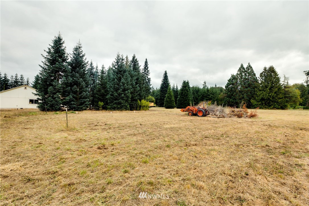 471-13 Gore Road Onalaska, WA 98570 - Photo 22 of 25 Gallery Image 22